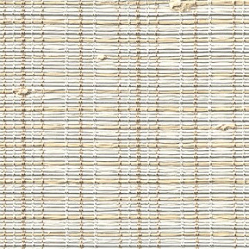 Coconut — MTO - Montego Fabric
