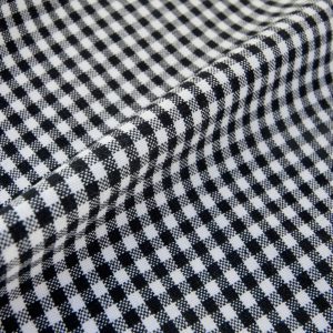 Black Gingham — Opaque Collection: Lorraine Fabric