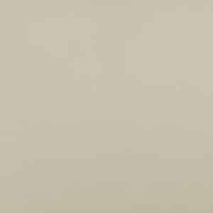 Taupe Gray — Paint Finish color