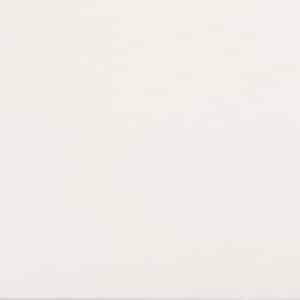 Silk White — Paint Finish color
