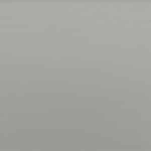 Platter — Paint Finish color